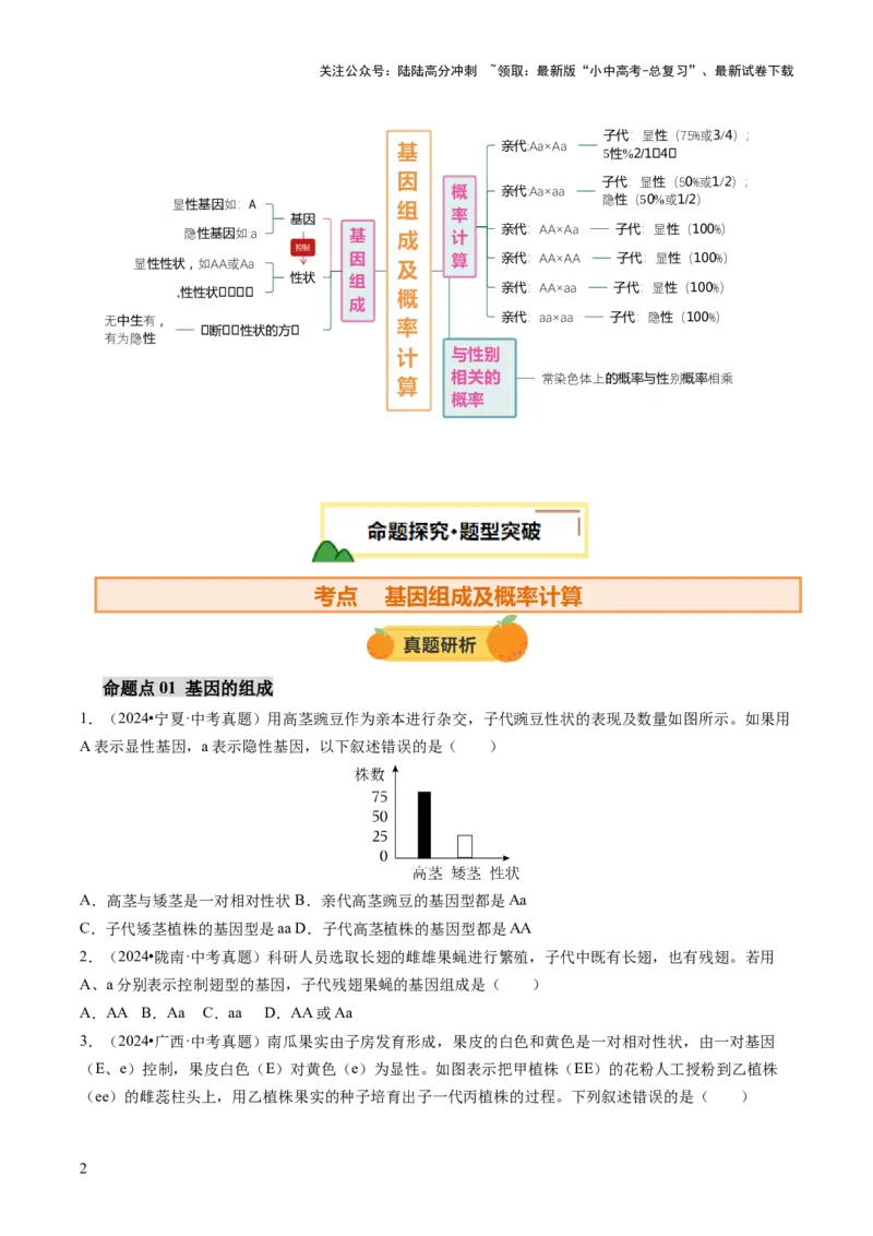 热点突破04基因组成及概率计算（讲练）（原卷版）_02中考总复习（2026版更新中）_08-生物-中考总复习_2025中考复习资料_2025中考二轮课件ppt+讲义+练习生物_讲义+练习