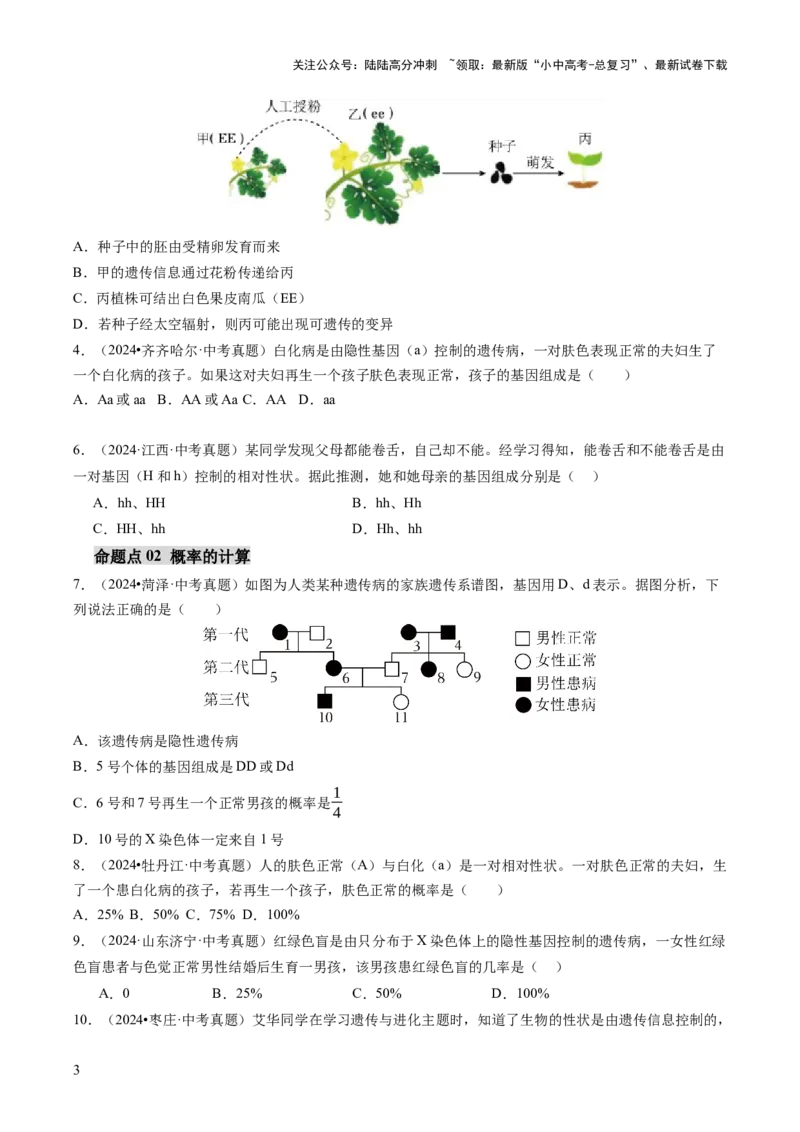 热点突破04基因组成及概率计算（讲练）（原卷版）_02中考总复习（2026版更新中）_08-生物-中考总复习_2025中考复习资料_2025中考二轮课件ppt+讲义+练习生物_讲义+练习