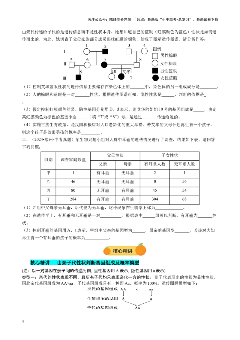 热点突破04基因组成及概率计算（讲练）（原卷版）_02中考总复习（2026版更新中）_08-生物-中考总复习_2025中考复习资料_2025中考二轮课件ppt+讲义+练习生物_讲义+练习