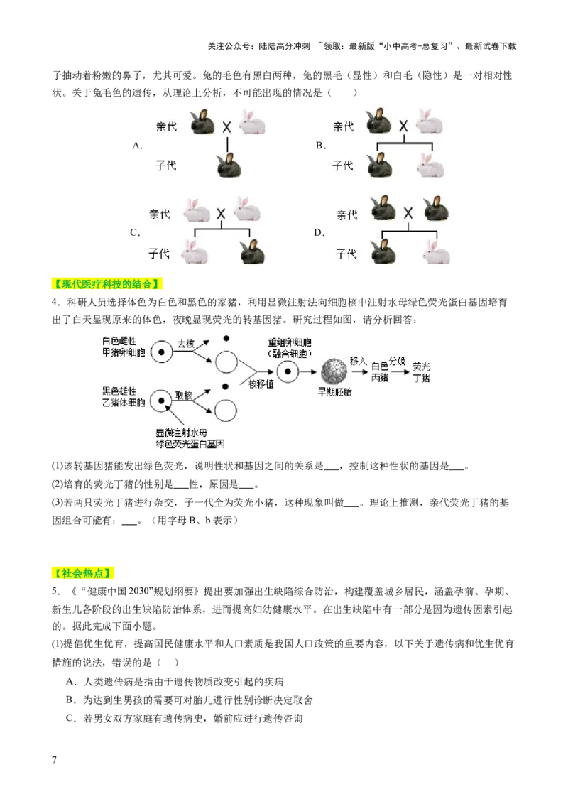 热点突破04基因组成及概率计算（讲练）（原卷版）_02中考总复习（2026版更新中）_08-生物-中考总复习_2025中考复习资料_2025中考二轮课件ppt+讲义+练习生物_讲义+练习