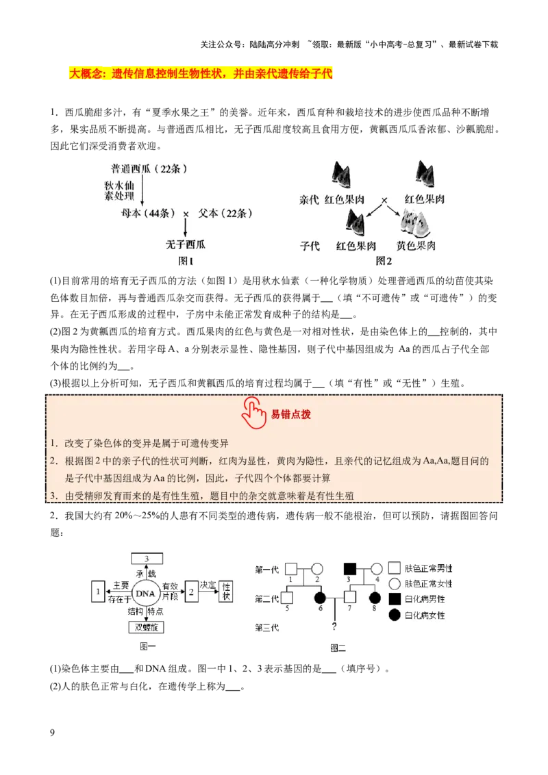 热点突破04基因组成及概率计算（讲练）（原卷版）_02中考总复习（2026版更新中）_08-生物-中考总复习_2025中考复习资料_2025中考二轮课件ppt+讲义+练习生物_讲义+练习