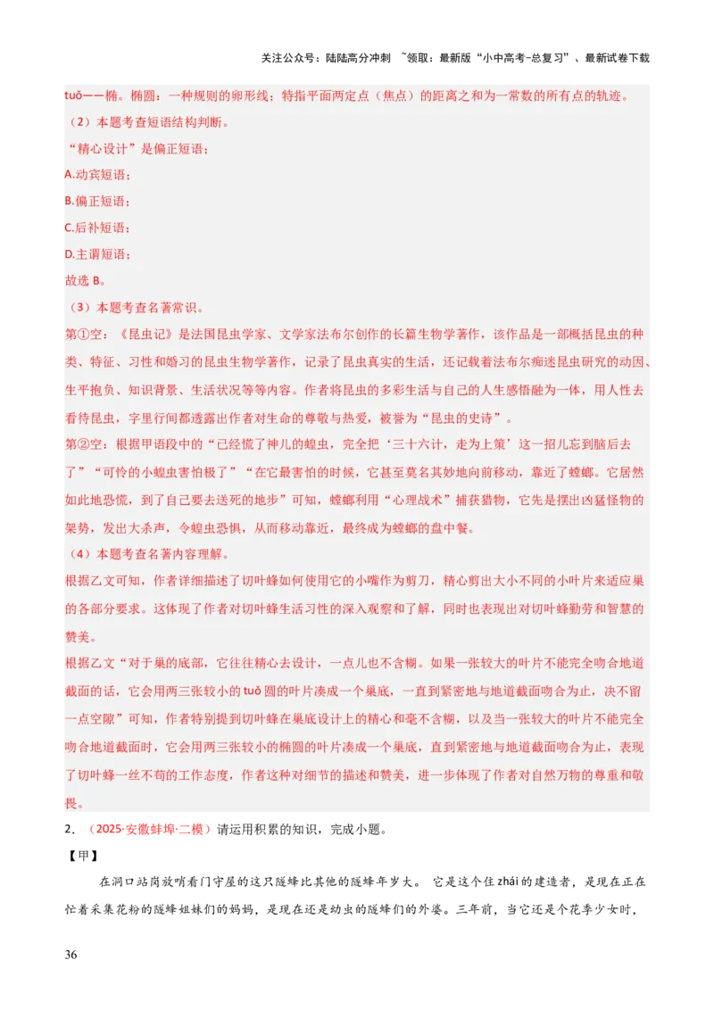 第06讲《昆虫记》整本书阅读(练习）（解析版）_02中考总复习（2026版更新中）_01-语文-中考总复习_2026年中考复习（更新中）_2026年中考语文一轮复习名著阅读