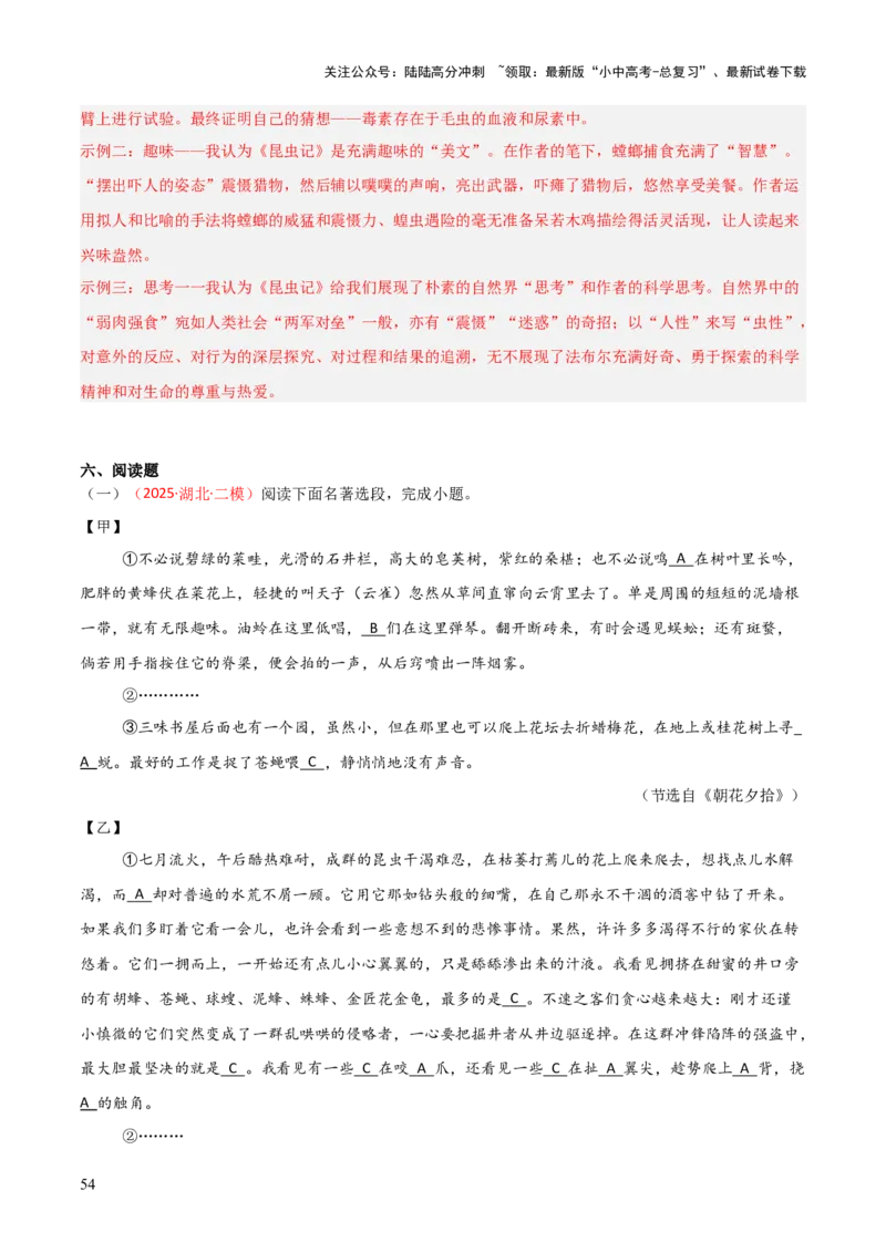 第06讲《昆虫记》整本书阅读(练习）（解析版）_02中考总复习（2026版更新中）_01-语文-中考总复习_2026年中考复习（更新中）_2026年中考语文一轮复习名著阅读