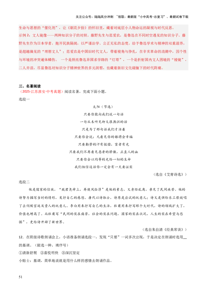 第09讲《艾青诗选》整本书阅读(练习）（解析版）_02中考总复习（2026版更新中）_01-语文-中考总复习_2026年中考复习（更新中）_2026年中考语文一轮复习名著阅读