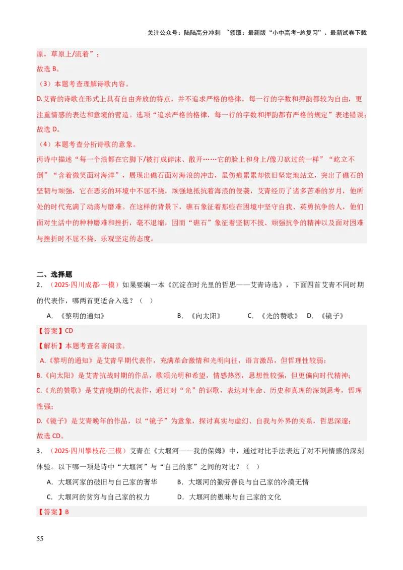 第09讲《艾青诗选》整本书阅读(练习）（解析版）_02中考总复习（2026版更新中）_01-语文-中考总复习_2026年中考复习（更新中）_2026年中考语文一轮复习名著阅读