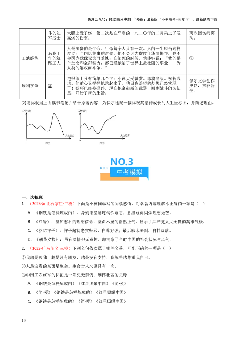 第04讲《钢铁是怎样炼成的》整本书阅读(练习）（原卷版）_02中考总复习（2026版更新中）_01-语文-中考总复习_2026年中考复习（更新中）_2026年中考语文一轮复习名著阅读
