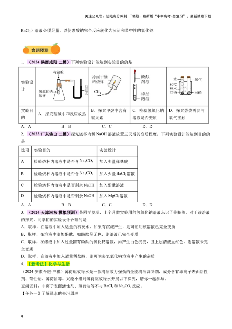 热点突破碱变质的研究（讲练）（原卷版）_02中考总复习（2026版更新中）_05-化学-中考总复习_2025年中考复习资料_2025中考二轮课件ppt+讲义+练习化学_讲义+练习