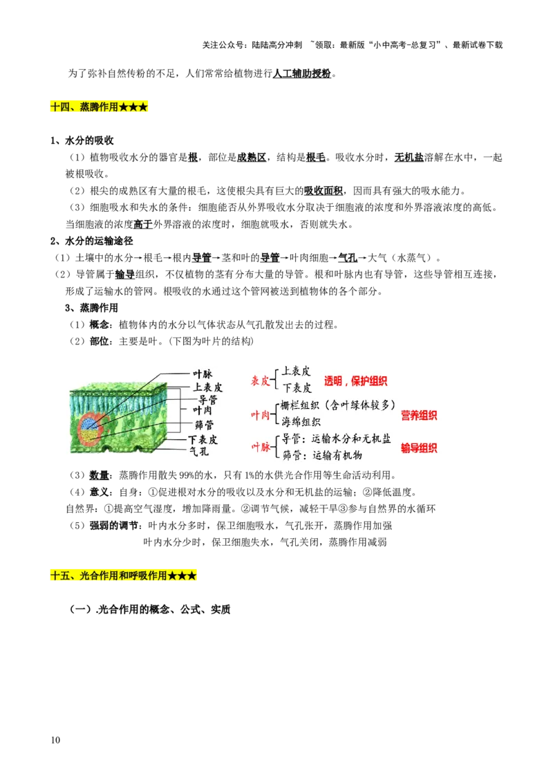 知识提升篇中考考前必背清单（29大核心考点）-2025年中考生物二轮复习（全国通用）_02中考总复习（2026版更新中）_08-生物-中考总复习_2025中考复习资料_2025中考二轮课件ppt+讲义+练习生物