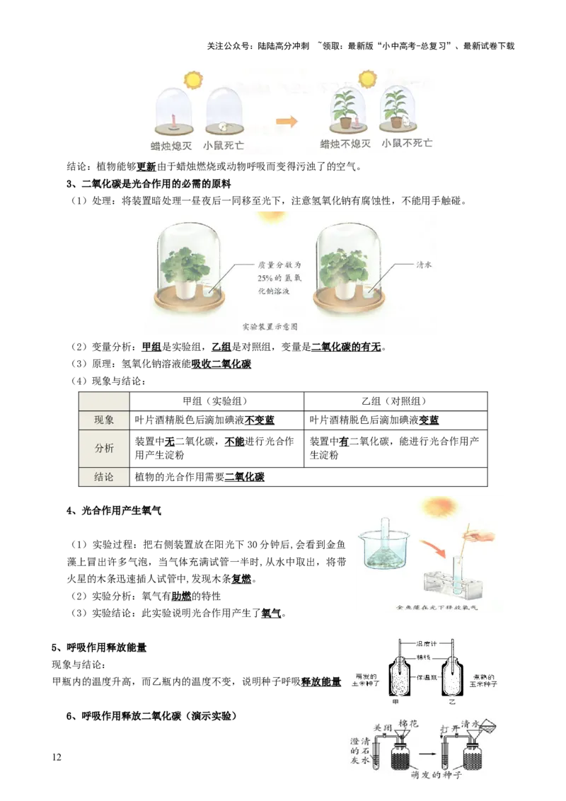 知识提升篇中考考前必背清单（29大核心考点）-2025年中考生物二轮复习（全国通用）_02中考总复习（2026版更新中）_08-生物-中考总复习_2025中考复习资料_2025中考二轮课件ppt+讲义+练习生物