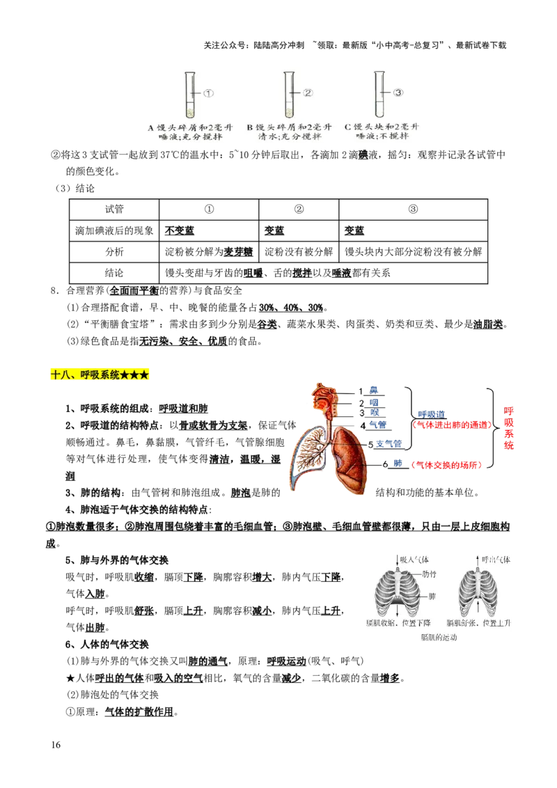 知识提升篇中考考前必背清单（29大核心考点）-2025年中考生物二轮复习（全国通用）_02中考总复习（2026版更新中）_08-生物-中考总复习_2025中考复习资料_2025中考二轮课件ppt+讲义+练习生物