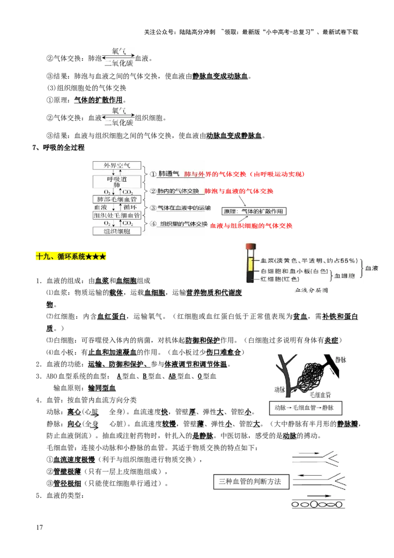 知识提升篇中考考前必背清单（29大核心考点）-2025年中考生物二轮复习（全国通用）_02中考总复习（2026版更新中）_08-生物-中考总复习_2025中考复习资料_2025中考二轮课件ppt+讲义+练习生物