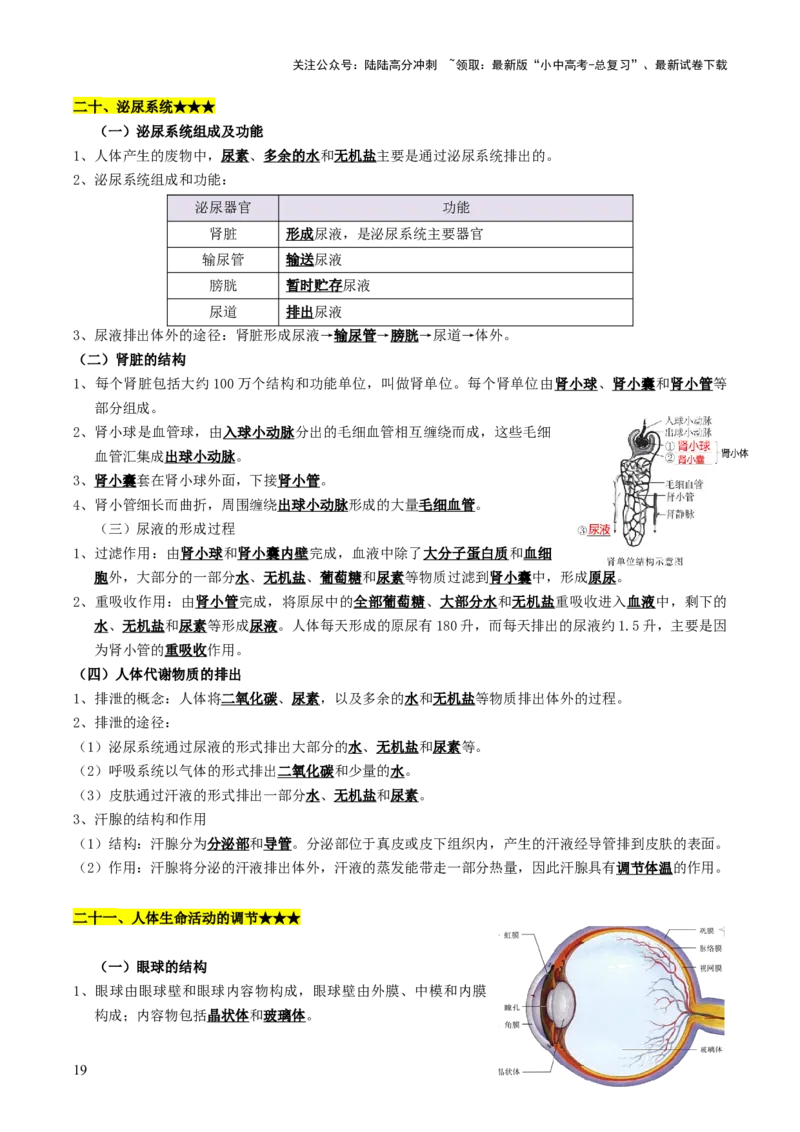知识提升篇中考考前必背清单（29大核心考点）-2025年中考生物二轮复习（全国通用）_02中考总复习（2026版更新中）_08-生物-中考总复习_2025中考复习资料_2025中考二轮课件ppt+讲义+练习生物