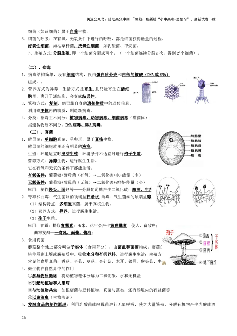 知识提升篇中考考前必背清单（29大核心考点）-2025年中考生物二轮复习（全国通用）_02中考总复习（2026版更新中）_08-生物-中考总复习_2025中考复习资料_2025中考二轮课件ppt+讲义+练习生物