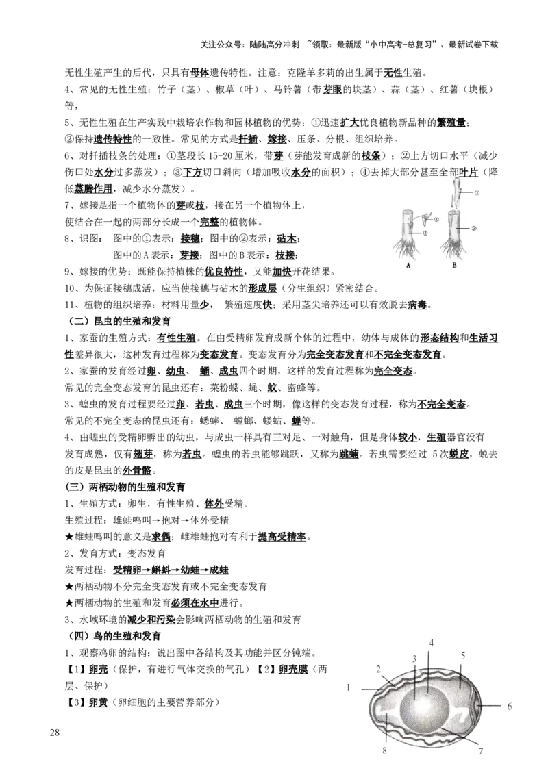 知识提升篇中考考前必背清单（29大核心考点）-2025年中考生物二轮复习（全国通用）_02中考总复习（2026版更新中）_08-生物-中考总复习_2025中考复习资料_2025中考二轮课件ppt+讲义+练习生物