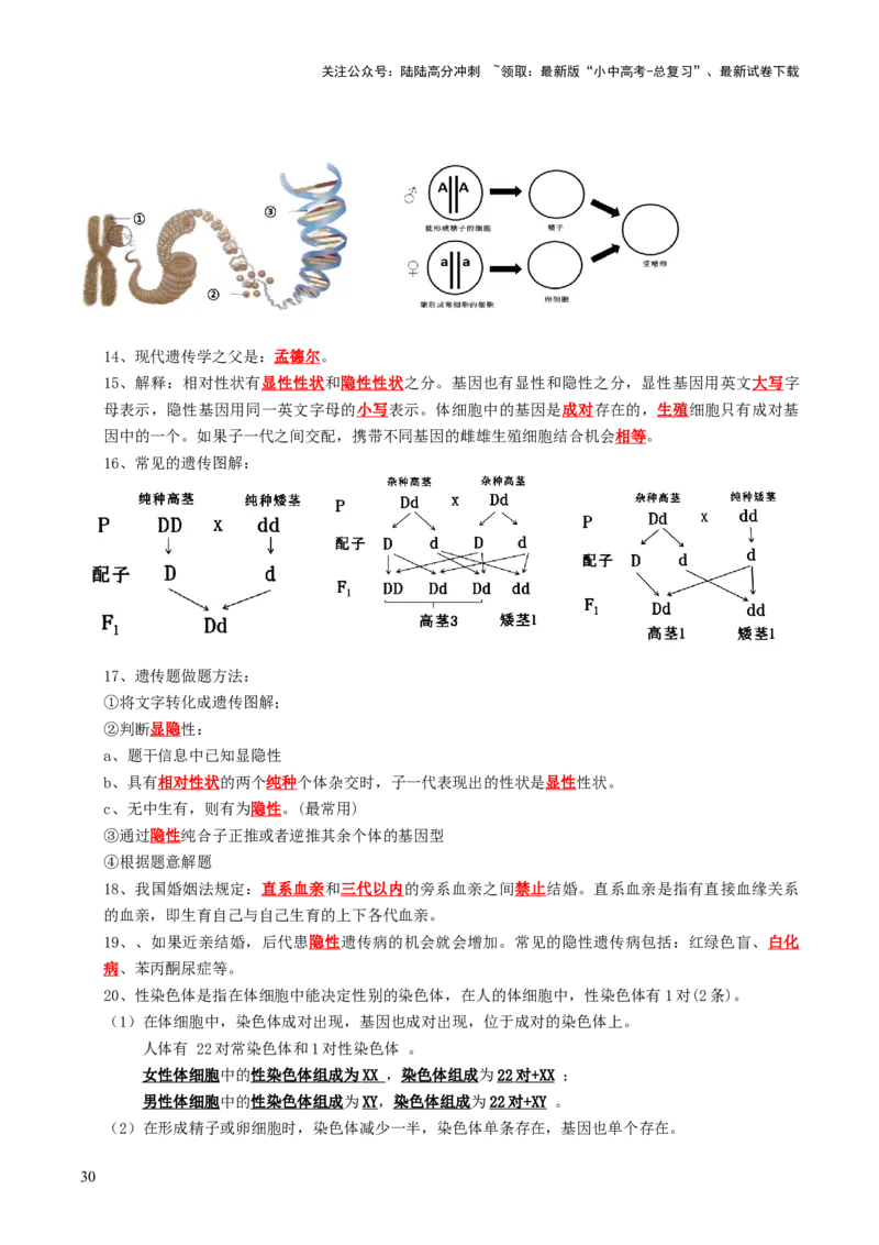 知识提升篇中考考前必背清单（29大核心考点）-2025年中考生物二轮复习（全国通用）_02中考总复习（2026版更新中）_08-生物-中考总复习_2025中考复习资料_2025中考二轮课件ppt+讲义+练习生物