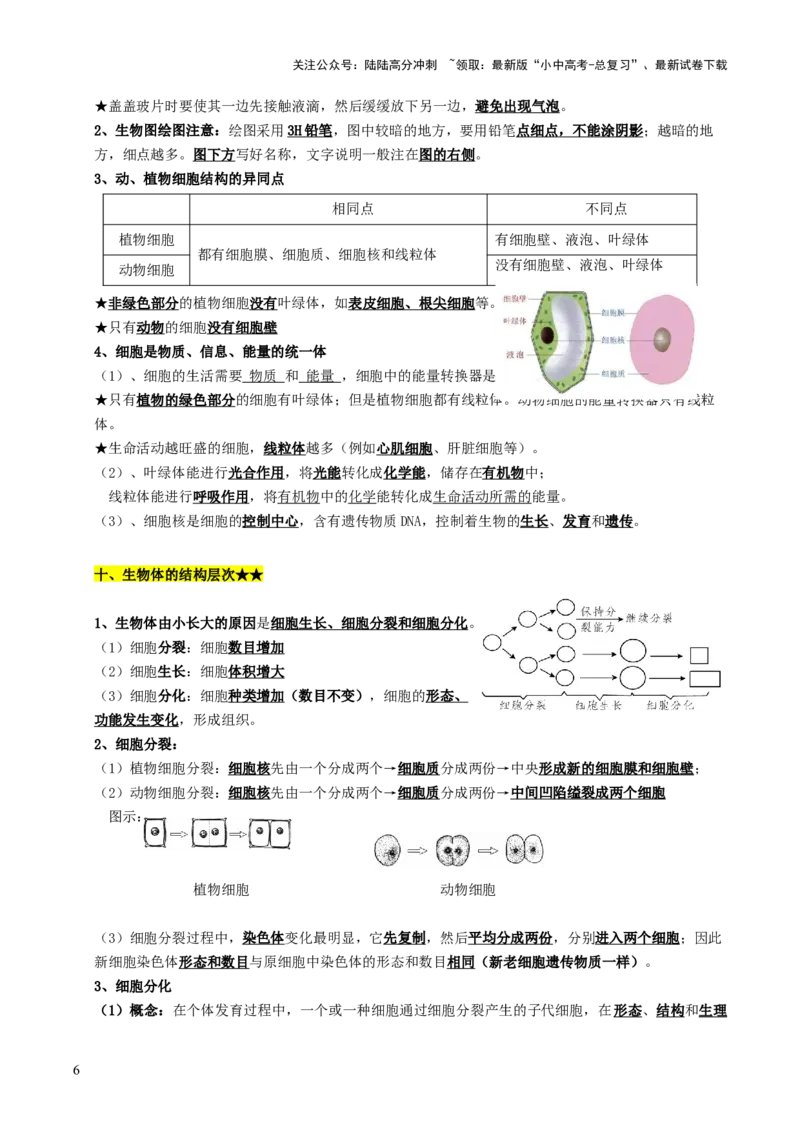 知识提升篇中考考前必背清单（29大核心考点）-2025年中考生物二轮复习（全国通用）_02中考总复习（2026版更新中）_08-生物-中考总复习_2025中考复习资料_2025中考二轮课件ppt+讲义+练习生物