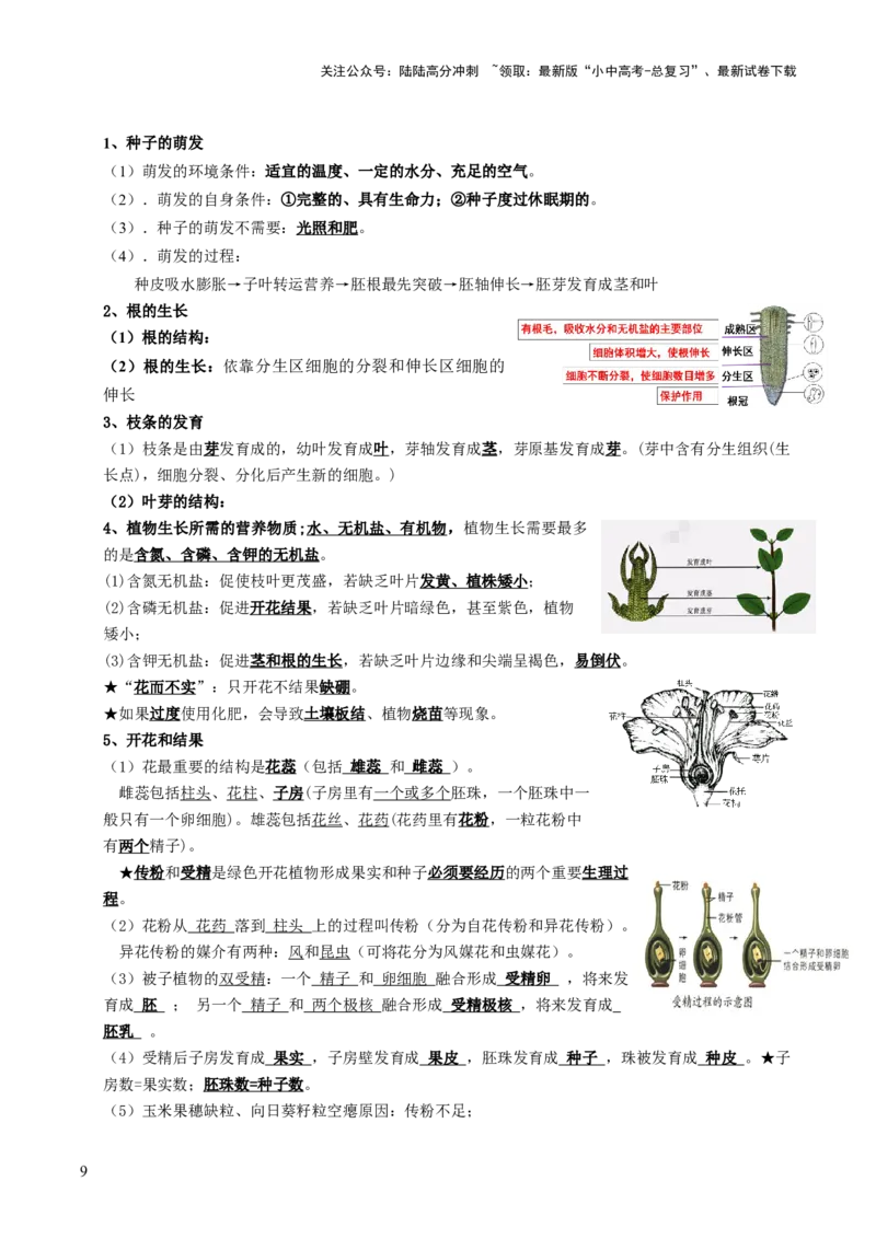 知识提升篇中考考前必背清单（29大核心考点）-2025年中考生物二轮复习（全国通用）_02中考总复习（2026版更新中）_08-生物-中考总复习_2025中考复习资料_2025中考二轮课件ppt+讲义+练习生物