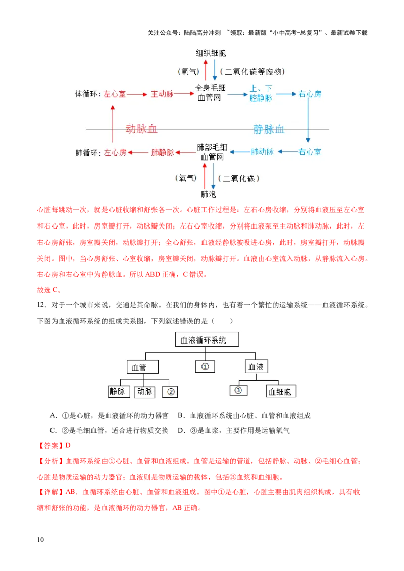 热点三人体生理活动模型构建（测试）（解析版）_02中考总复习（2026版更新中）_08-生物-中考总复习_2025中考复习资料_2025中考二轮课件ppt+讲义+练习生物_测试