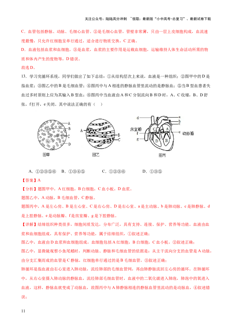 热点三人体生理活动模型构建（测试）（解析版）_02中考总复习（2026版更新中）_08-生物-中考总复习_2025中考复习资料_2025中考二轮课件ppt+讲义+练习生物_测试