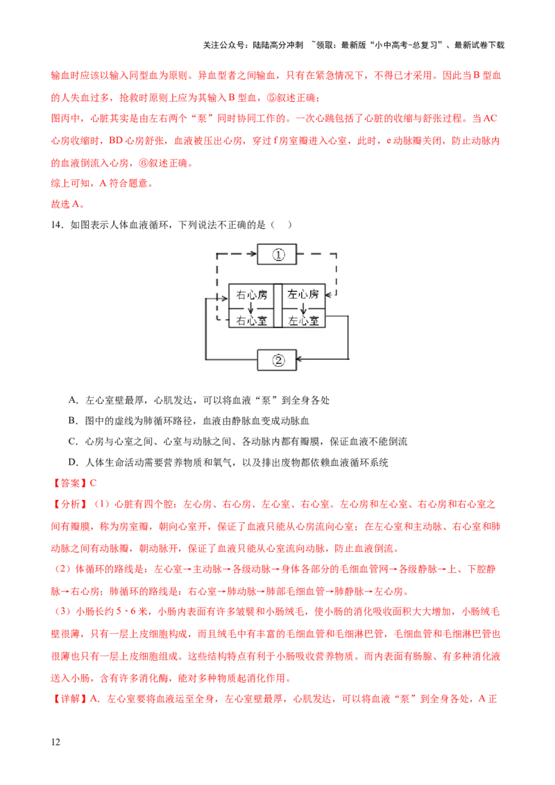 热点三人体生理活动模型构建（测试）（解析版）_02中考总复习（2026版更新中）_08-生物-中考总复习_2025中考复习资料_2025中考二轮课件ppt+讲义+练习生物_测试