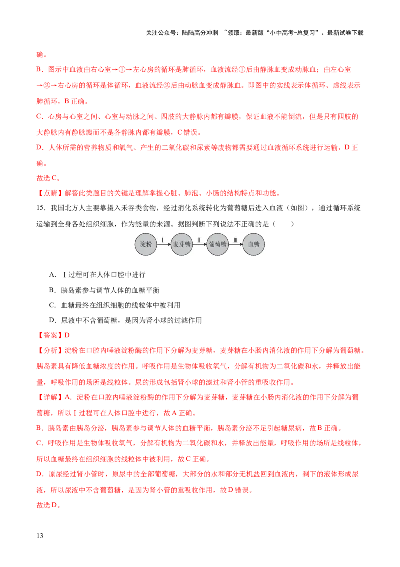 热点三人体生理活动模型构建（测试）（解析版）_02中考总复习（2026版更新中）_08-生物-中考总复习_2025中考复习资料_2025中考二轮课件ppt+讲义+练习生物_测试