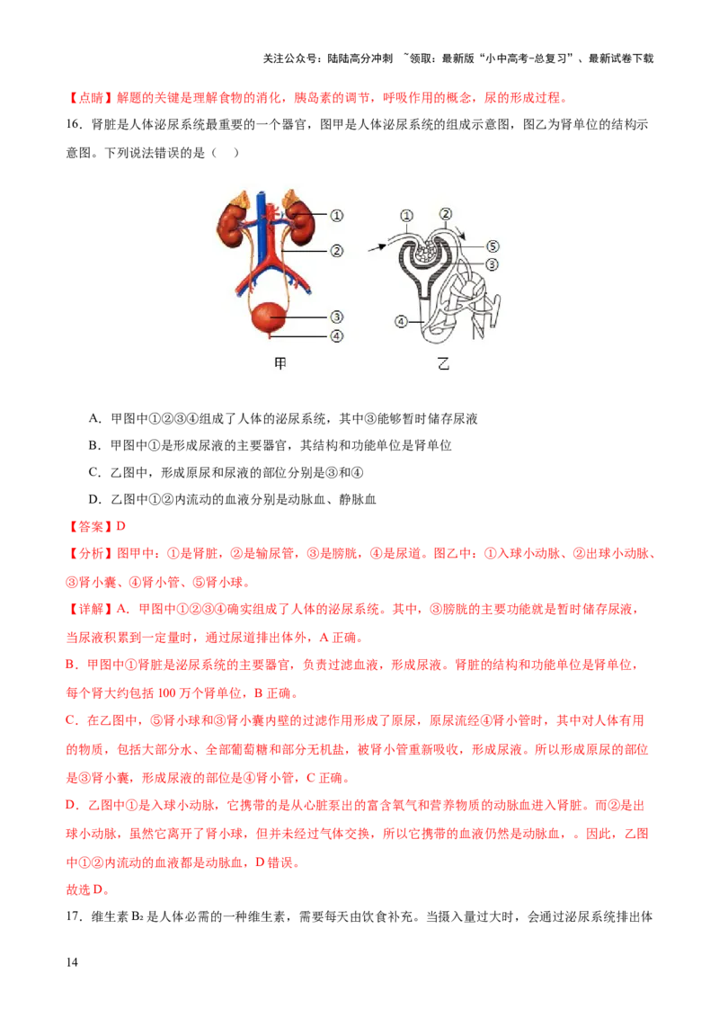 热点三人体生理活动模型构建（测试）（解析版）_02中考总复习（2026版更新中）_08-生物-中考总复习_2025中考复习资料_2025中考二轮课件ppt+讲义+练习生物_测试