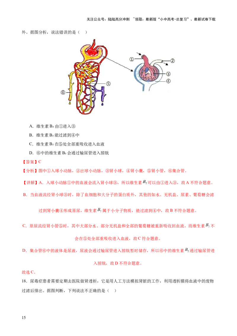 热点三人体生理活动模型构建（测试）（解析版）_02中考总复习（2026版更新中）_08-生物-中考总复习_2025中考复习资料_2025中考二轮课件ppt+讲义+练习生物_测试