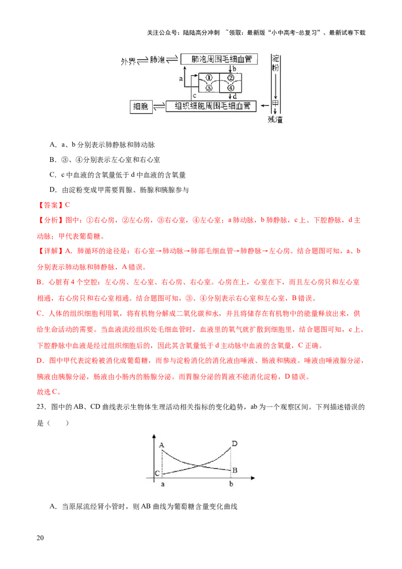 热点三人体生理活动模型构建（测试）（解析版）_02中考总复习（2026版更新中）_08-生物-中考总复习_2025中考复习资料_2025中考二轮课件ppt+讲义+练习生物_测试