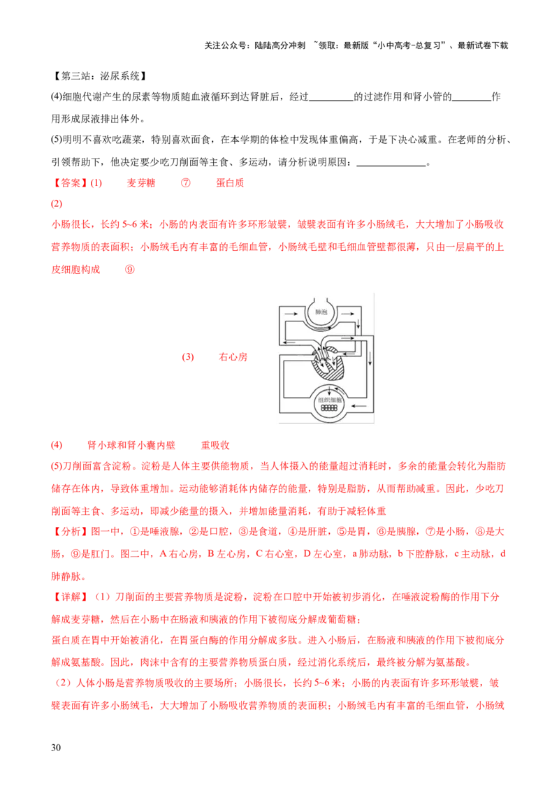 热点三人体生理活动模型构建（测试）（解析版）_02中考总复习（2026版更新中）_08-生物-中考总复习_2025中考复习资料_2025中考二轮课件ppt+讲义+练习生物_测试