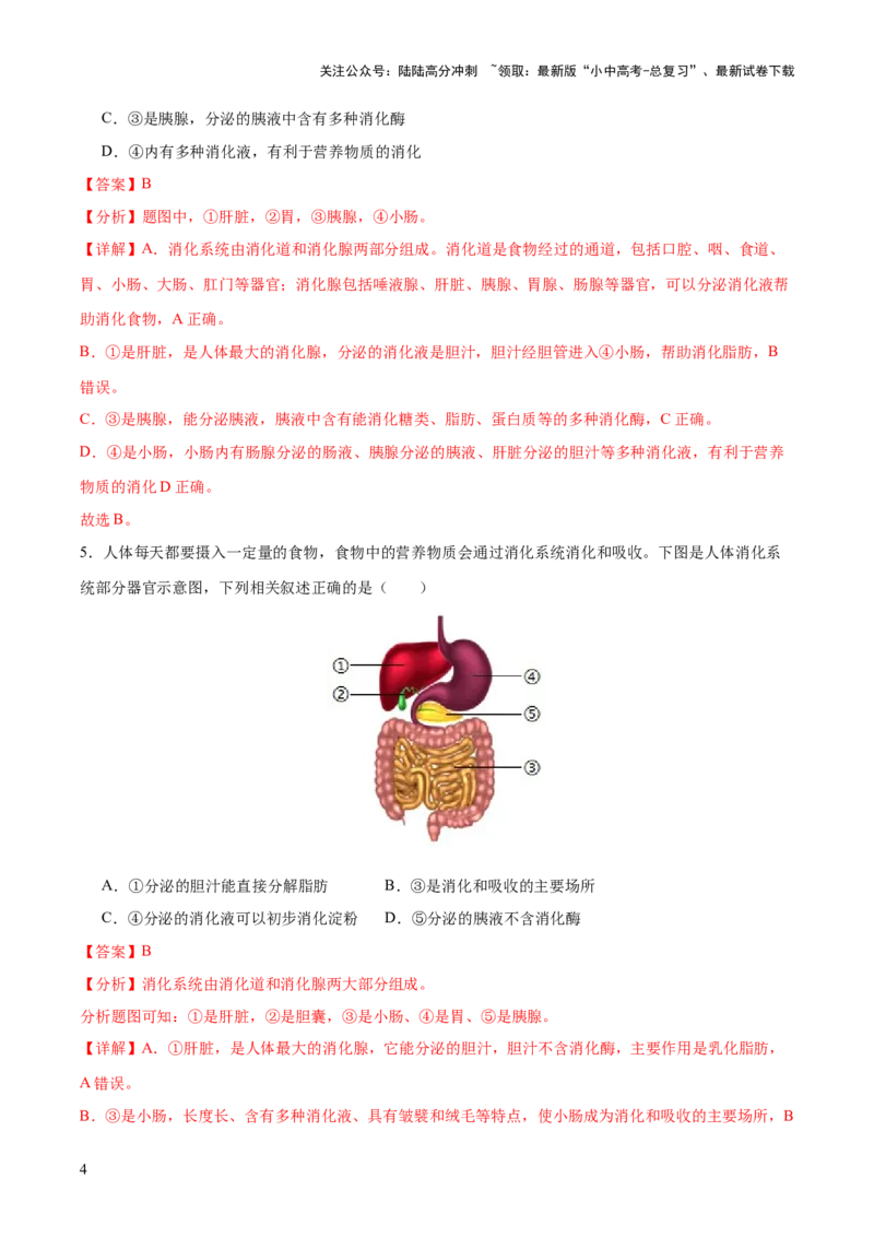 热点三人体生理活动模型构建（测试）（解析版）_02中考总复习（2026版更新中）_08-生物-中考总复习_2025中考复习资料_2025中考二轮课件ppt+讲义+练习生物_测试