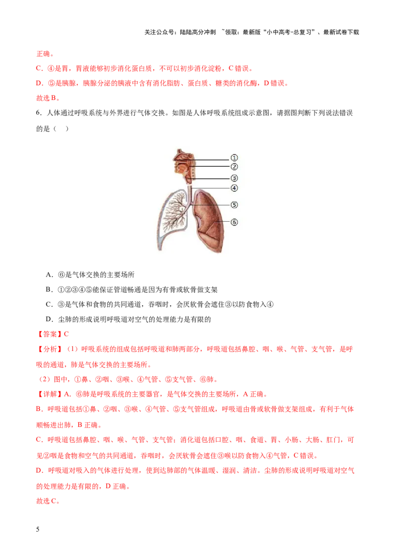 热点三人体生理活动模型构建（测试）（解析版）_02中考总复习（2026版更新中）_08-生物-中考总复习_2025中考复习资料_2025中考二轮课件ppt+讲义+练习生物_测试