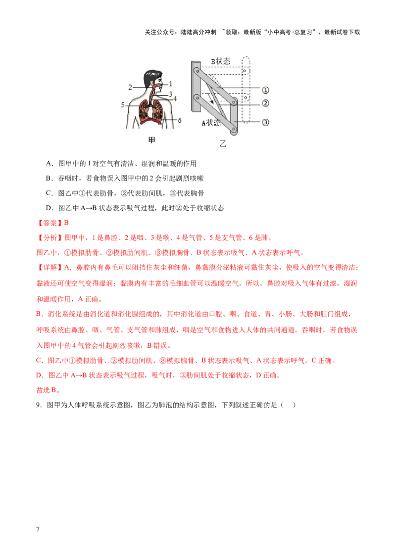 热点三人体生理活动模型构建（测试）（解析版）_02中考总复习（2026版更新中）_08-生物-中考总复习_2025中考复习资料_2025中考二轮课件ppt+讲义+练习生物_测试