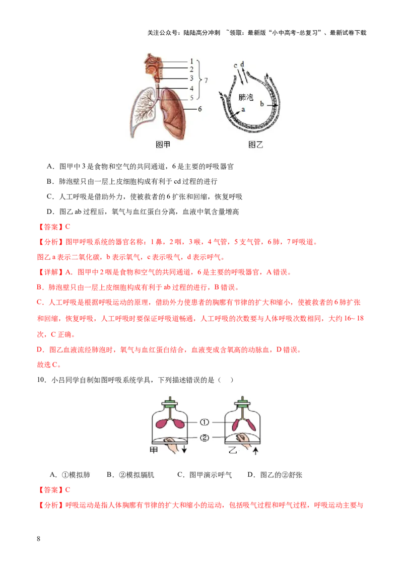 热点三人体生理活动模型构建（测试）（解析版）_02中考总复习（2026版更新中）_08-生物-中考总复习_2025中考复习资料_2025中考二轮课件ppt+讲义+练习生物_测试