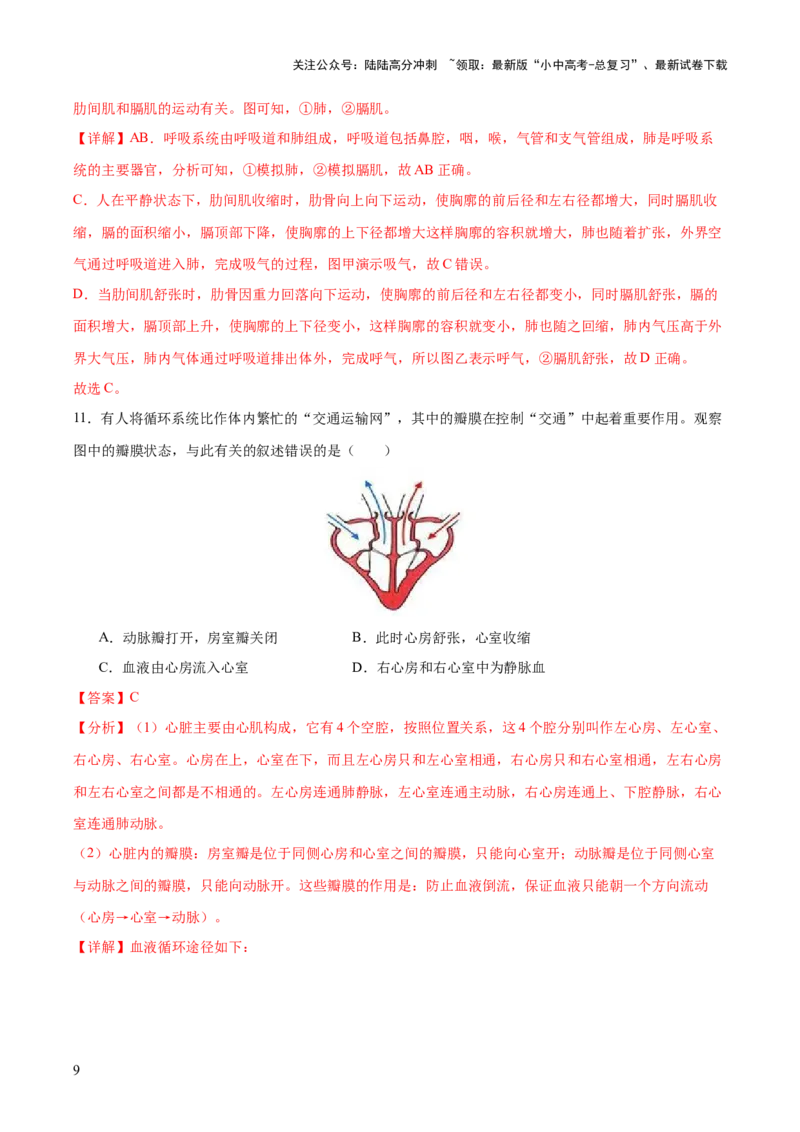 热点三人体生理活动模型构建（测试）（解析版）_02中考总复习（2026版更新中）_08-生物-中考总复习_2025中考复习资料_2025中考二轮课件ppt+讲义+练习生物_测试