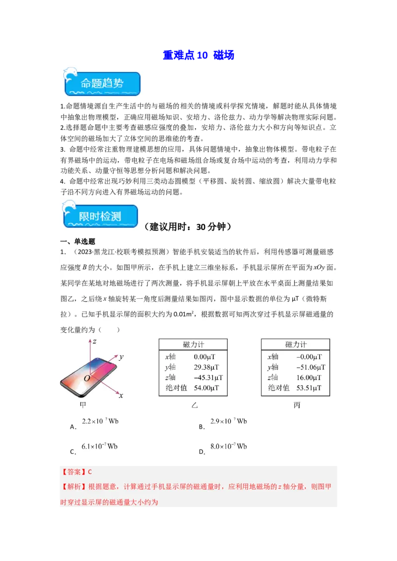 重难点10磁场（解析版）_4.2025物理总复习_2024年新高考资料_3.2024专项复习_2024年高考物理热点&middot;重点&middot;难点专练（新高考专用）