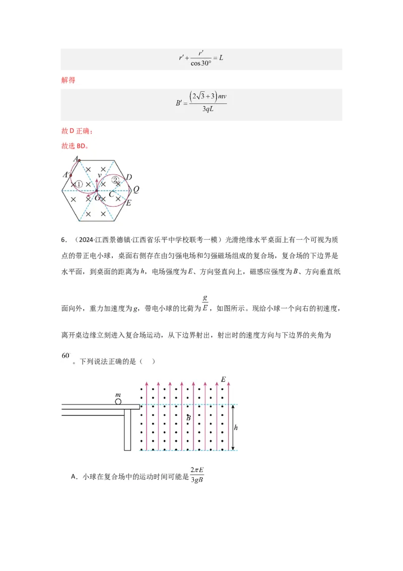 重难点10磁场（解析版）_4.2025物理总复习_2024年新高考资料_3.2024专项复习_2024年高考物理热点&middot;重点&middot;难点专练（新高考专用）