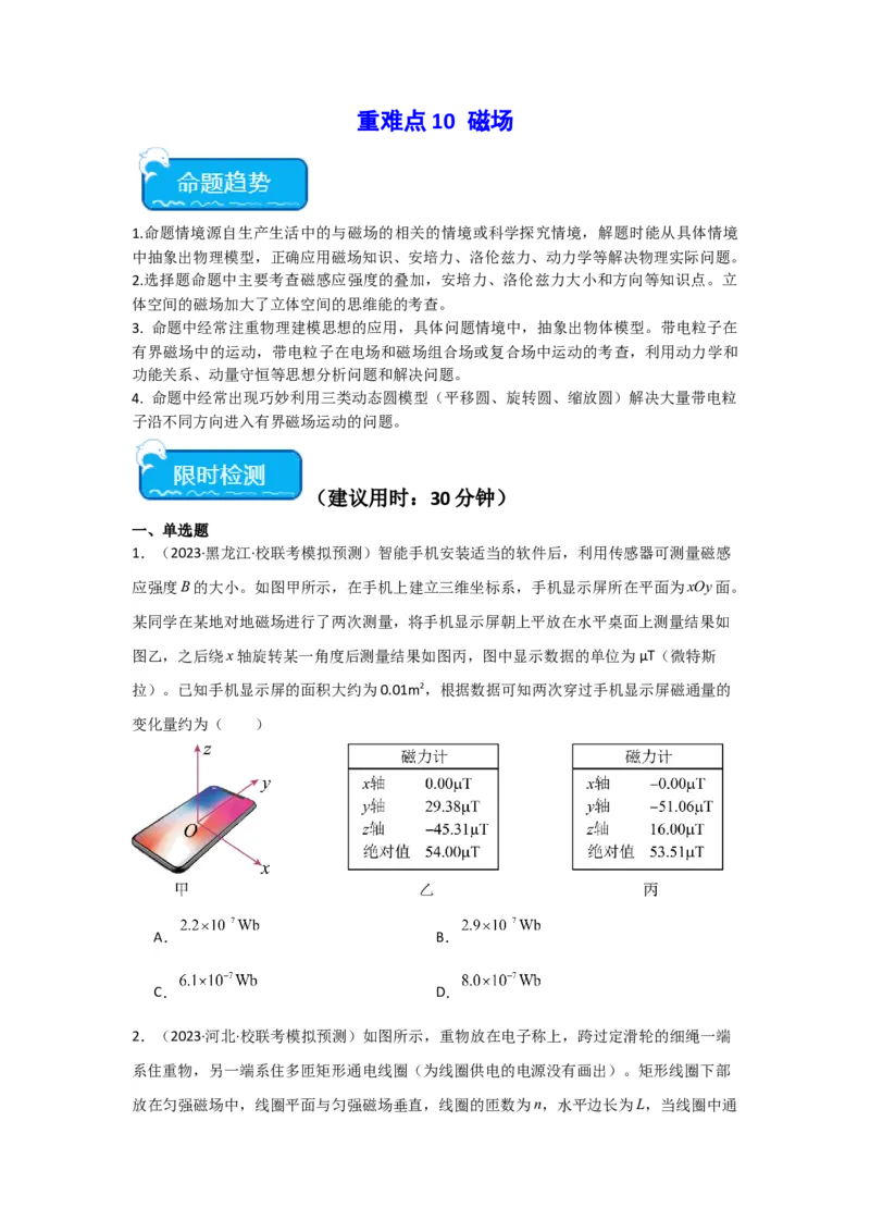 重难点10磁场（原卷版）_4.2025物理总复习_2024年新高考资料_3.2024专项复习_2024年高考物理热点&middot;重点&middot;难点专练（新高考专用）