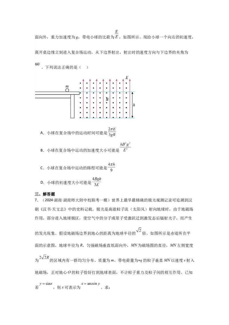 重难点10磁场（原卷版）_4.2025物理总复习_2024年新高考资料_3.2024专项复习_2024年高考物理热点&middot;重点&middot;难点专练（新高考专用）