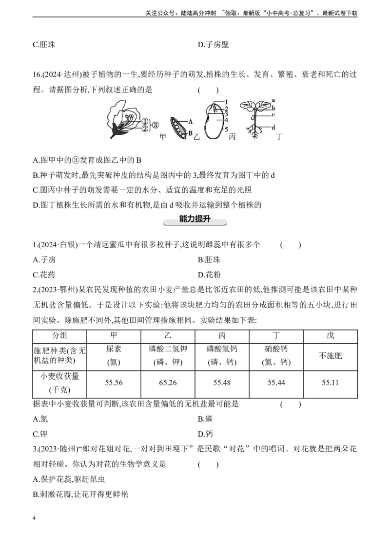 第06讲　被子植物的一生2025年中考生物学专题练习（含答案）_02中考总复习（2026版更新中）_08-生物-中考总复习_2025中考复习资料_2025年中考生物学专题练习(含答案)