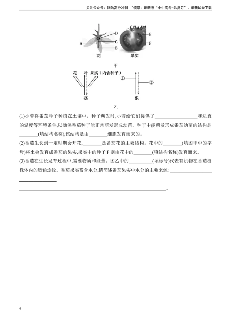 第06讲　被子植物的一生2025年中考生物学专题练习（含答案）_02中考总复习（2026版更新中）_08-生物-中考总复习_2025中考复习资料_2025年中考生物学专题练习(含答案)