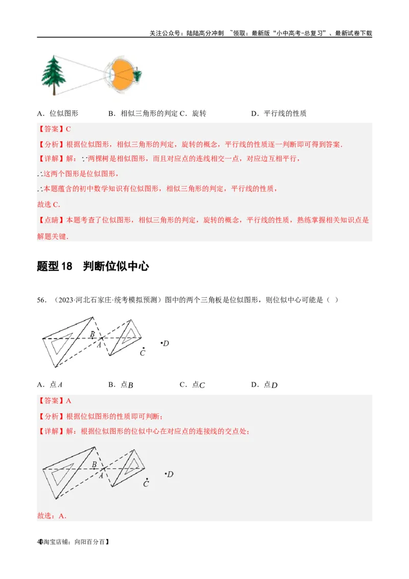 第20讲图形的相似与位似（练习）（解析版）_02中考总复习（2026版更新中）_02-数学-中考总复习_2024年中考复习资料_一轮复习资料_配套练习（原卷版+解析版）_教师版（含答案解析）