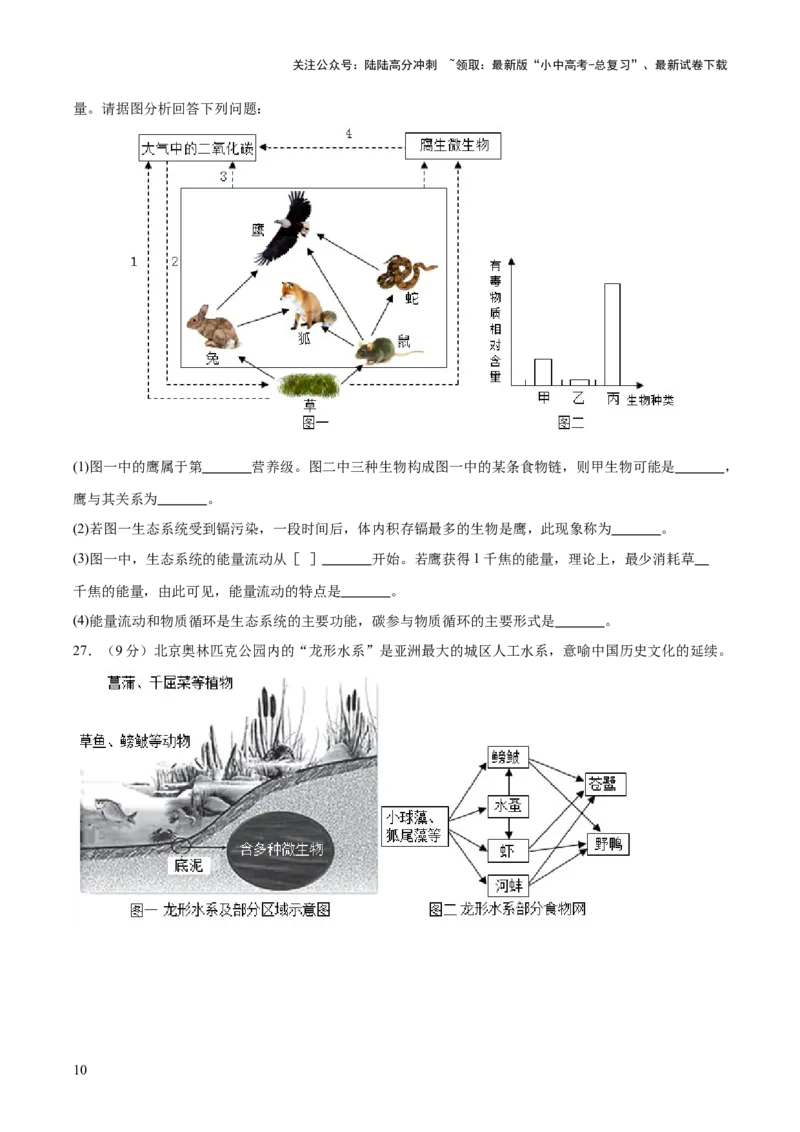 热点突破01食物网和碳循环模型的构建（测试）（原卷版）_02中考总复习（2026版更新中）_08-生物-中考总复习_2025中考复习资料_2025中考二轮课件ppt+讲义+练习生物_测试