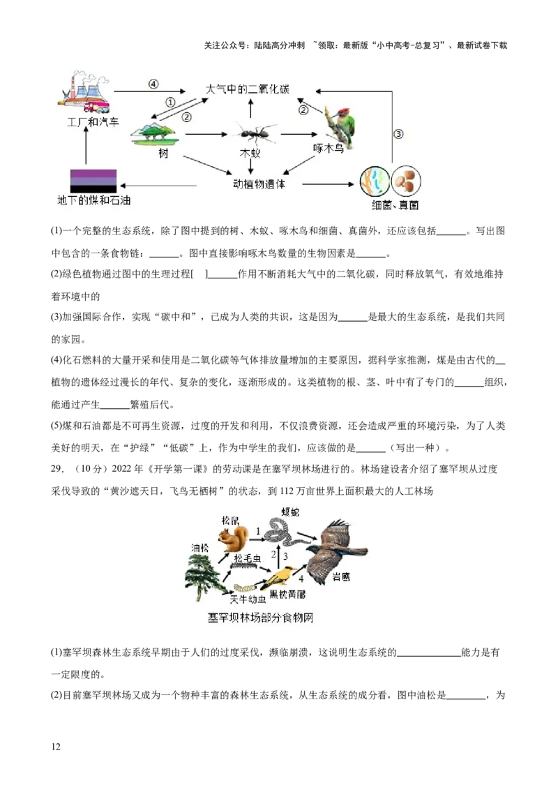 热点突破01食物网和碳循环模型的构建（测试）（原卷版）_02中考总复习（2026版更新中）_08-生物-中考总复习_2025中考复习资料_2025中考二轮课件ppt+讲义+练习生物_测试