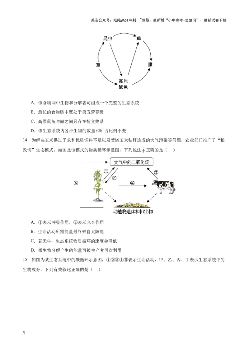 热点突破01食物网和碳循环模型的构建（测试）（原卷版）_02中考总复习（2026版更新中）_08-生物-中考总复习_2025中考复习资料_2025中考二轮课件ppt+讲义+练习生物_测试