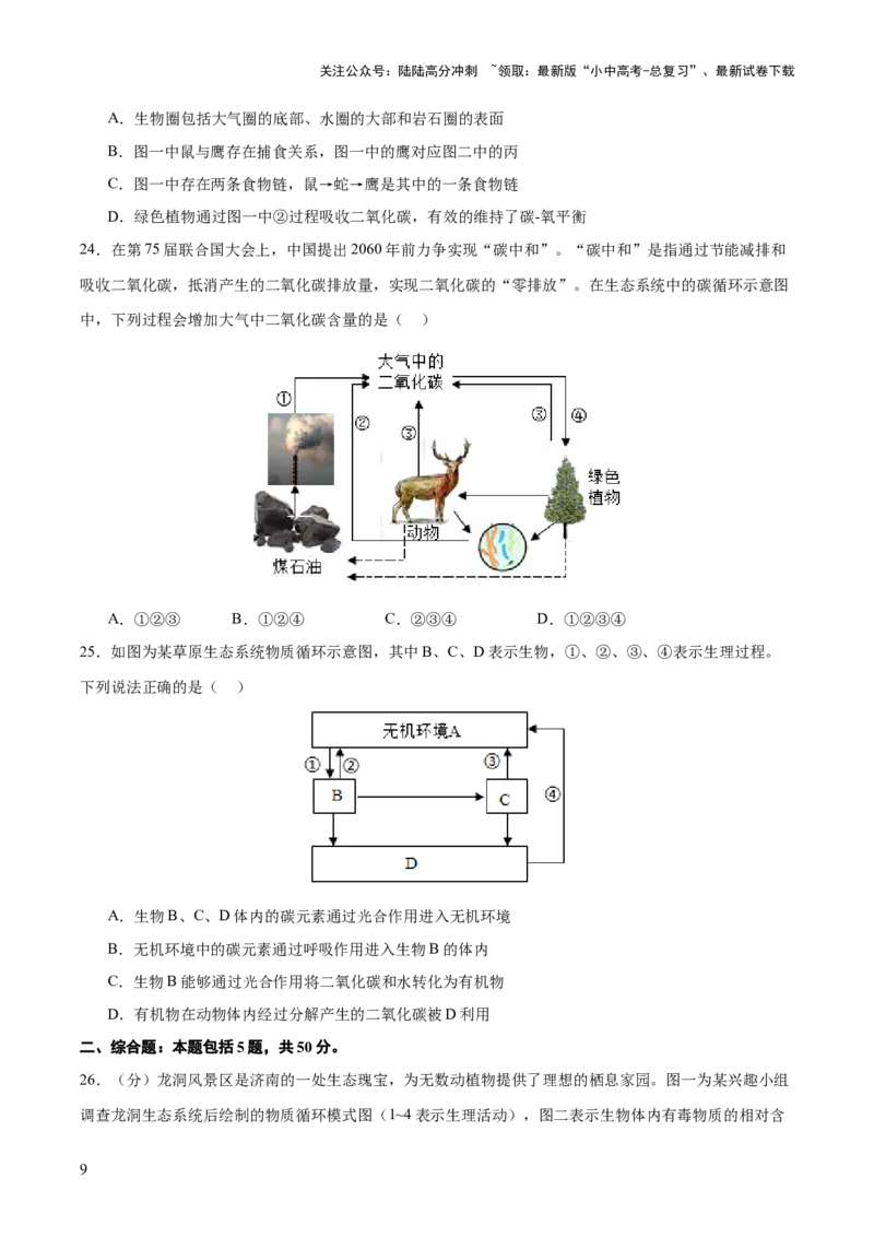 热点突破01食物网和碳循环模型的构建（测试）（原卷版）_02中考总复习（2026版更新中）_08-生物-中考总复习_2025中考复习资料_2025中考二轮课件ppt+讲义+练习生物_测试