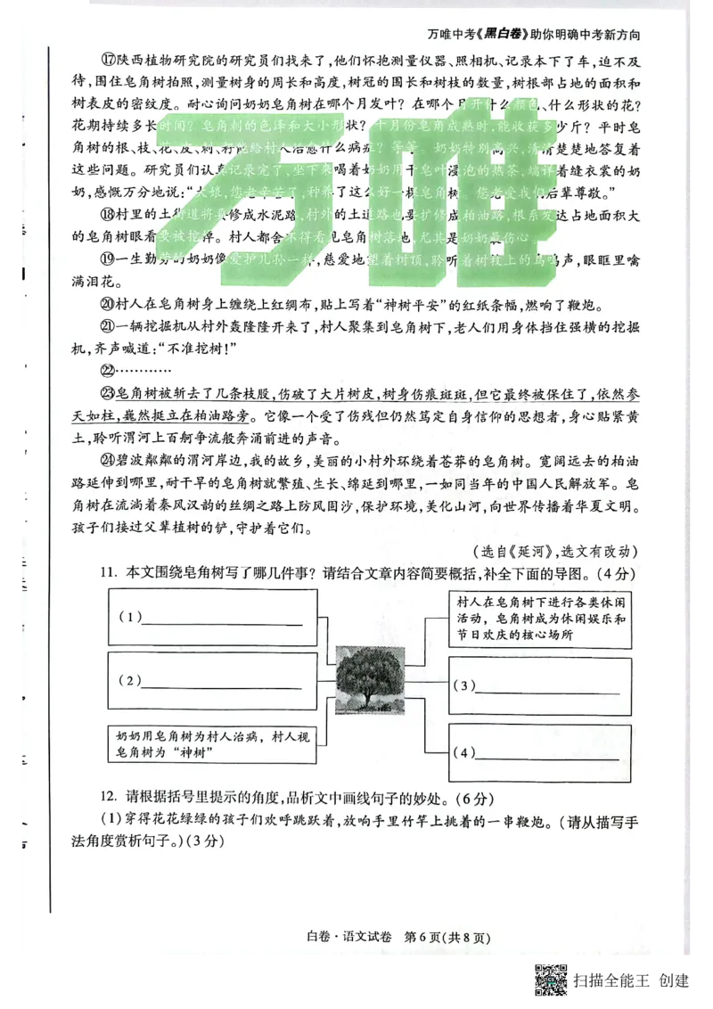 2025~语文白卷_初中资料合集_2025《万唯中考&bull;黑白卷》多地方版（更30省）_2025《万唯中考&bull;黑白卷》7科全套（陕西）