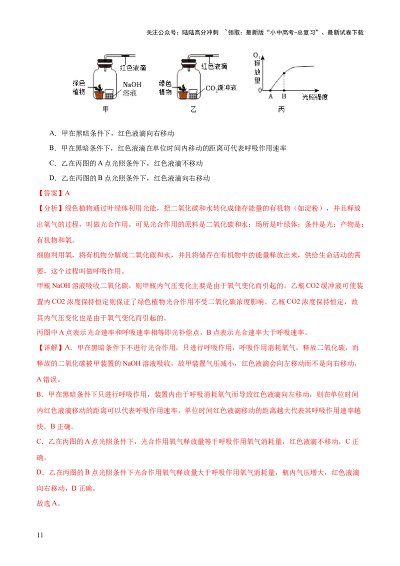 热点突破02植物的三大作用（测试）（解析版）_02中考总复习（2026版更新中）_08-生物-中考总复习_2025中考复习资料_2025中考二轮课件ppt+讲义+练习生物_测试