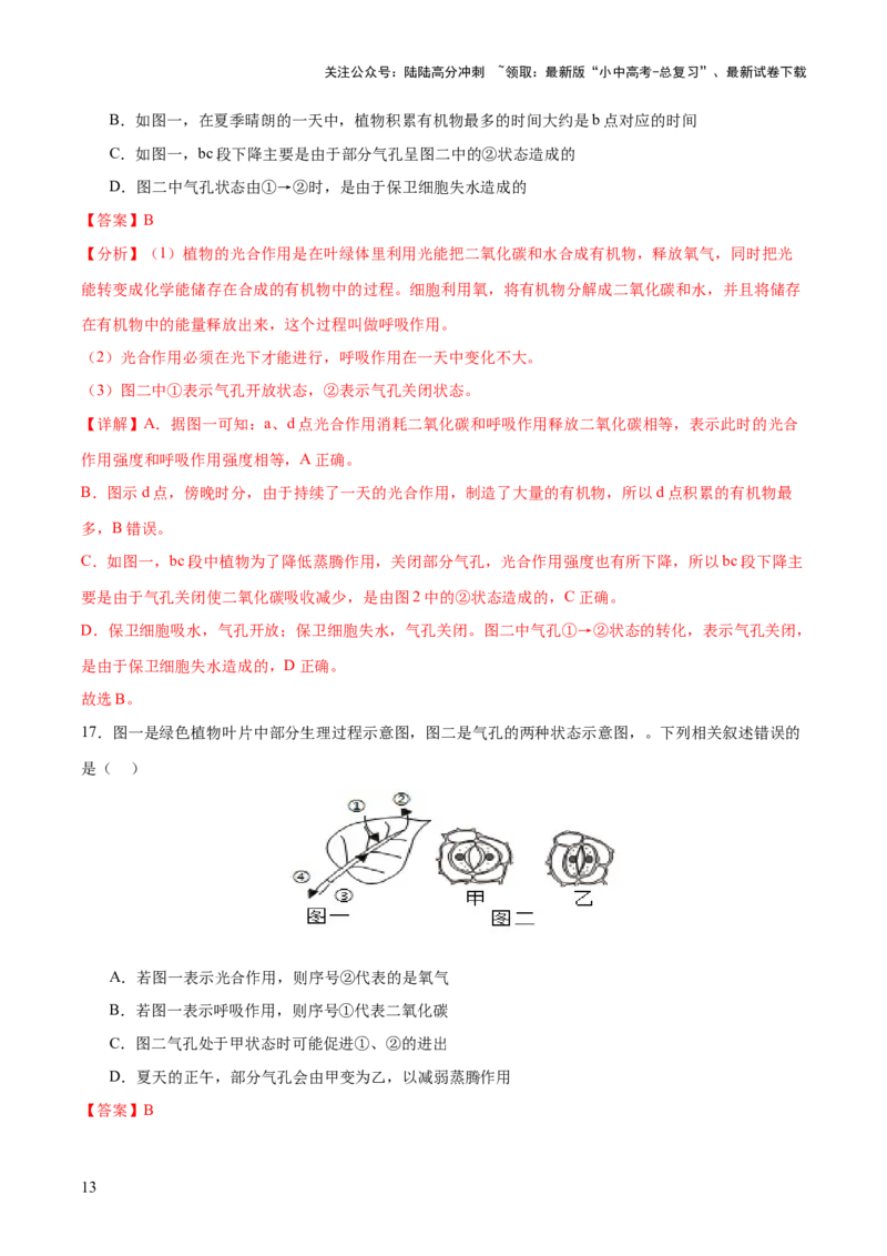 热点突破02植物的三大作用（测试）（解析版）_02中考总复习（2026版更新中）_08-生物-中考总复习_2025中考复习资料_2025中考二轮课件ppt+讲义+练习生物_测试