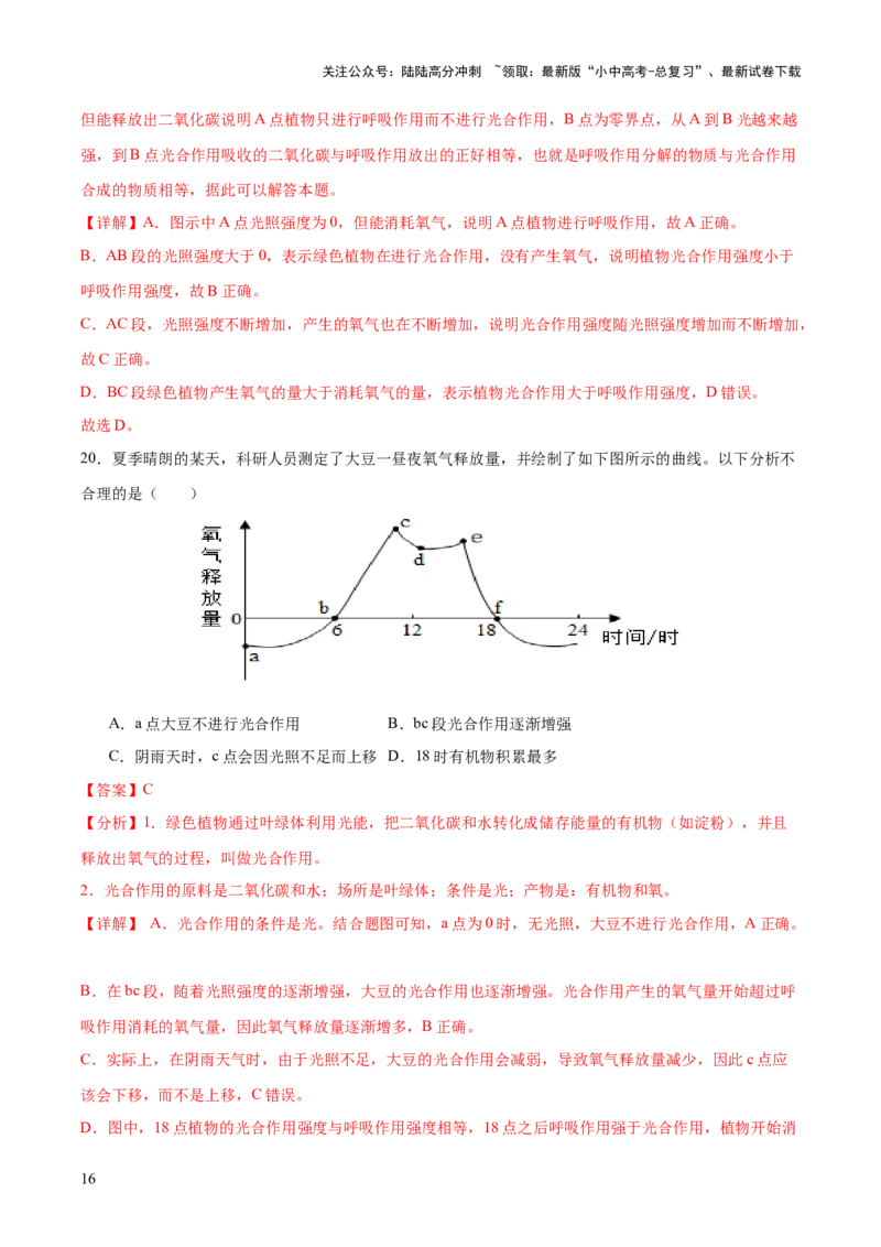 热点突破02植物的三大作用（测试）（解析版）_02中考总复习（2026版更新中）_08-生物-中考总复习_2025中考复习资料_2025中考二轮课件ppt+讲义+练习生物_测试