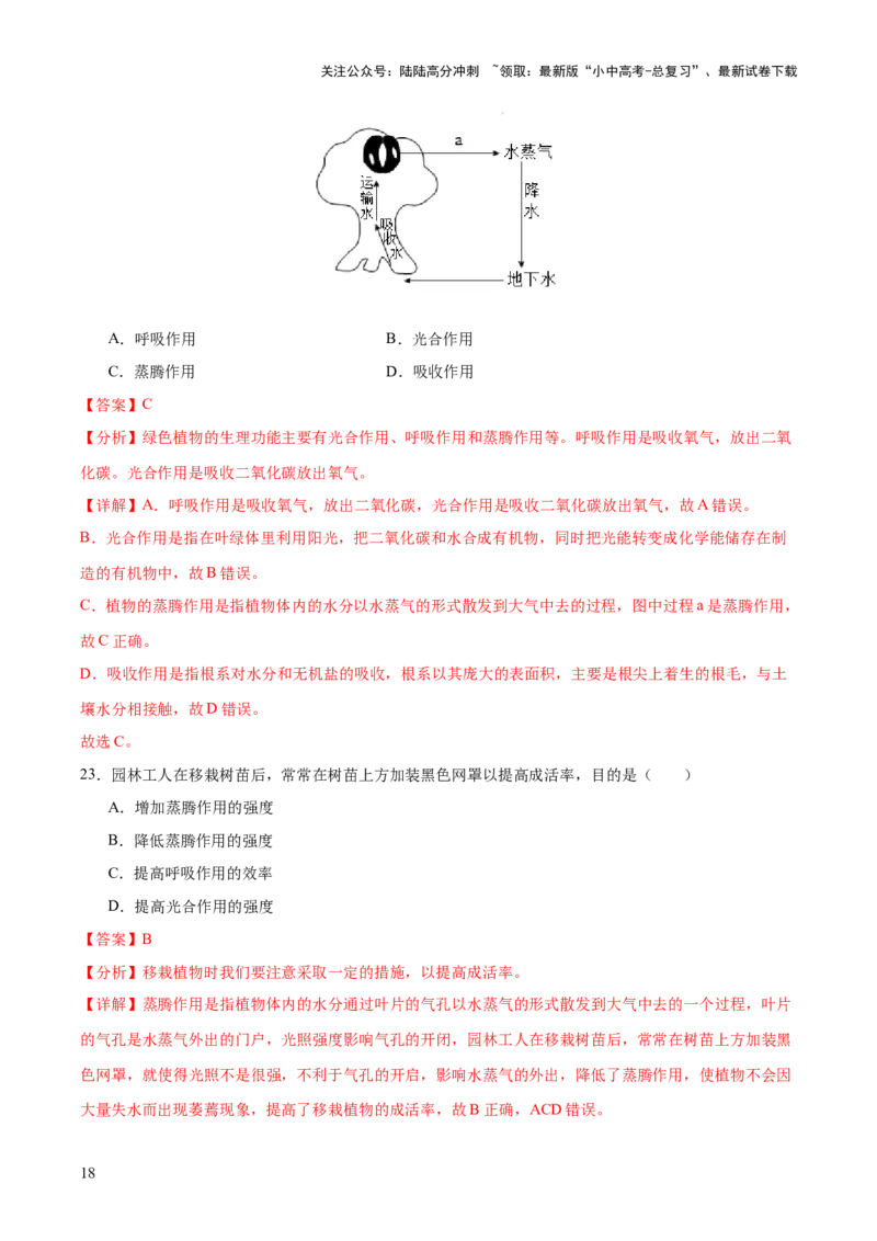 热点突破02植物的三大作用（测试）（解析版）_02中考总复习（2026版更新中）_08-生物-中考总复习_2025中考复习资料_2025中考二轮课件ppt+讲义+练习生物_测试